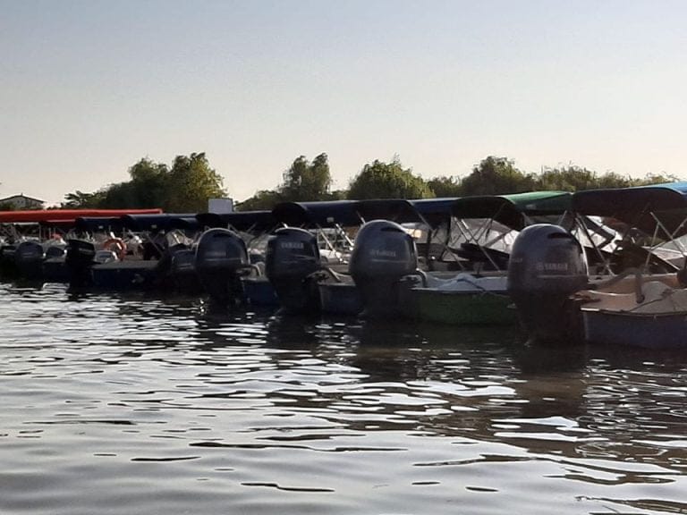 Bărcile de mare viteză, pericolul din Deltă. „Vor transforma canalele în bulevarde aglomerate”