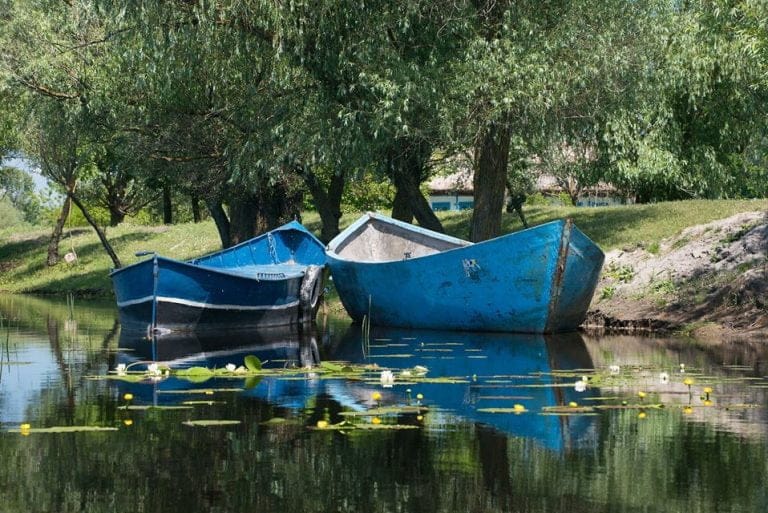 Lista proiectelor derulate de ARBDD. Ce lucrări se desfășoară în Delta Dunării