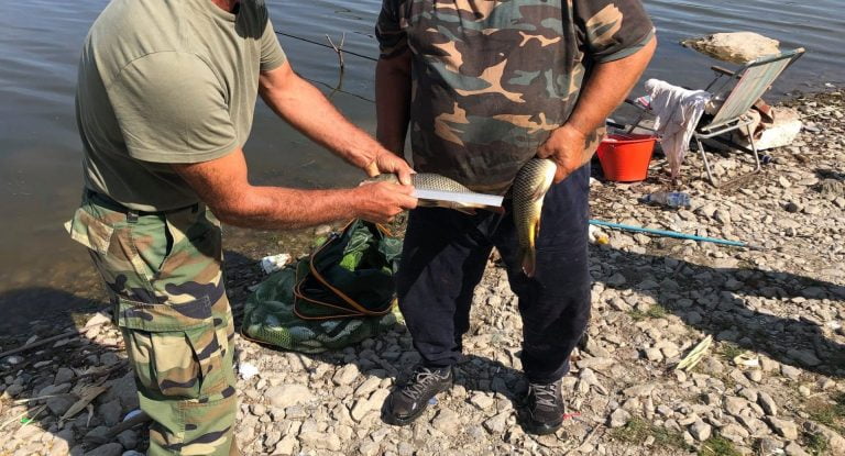 Unde se poate pescui sportiv în Delta Dunării. Dimensiunile peștilor ce pot fi capturați
