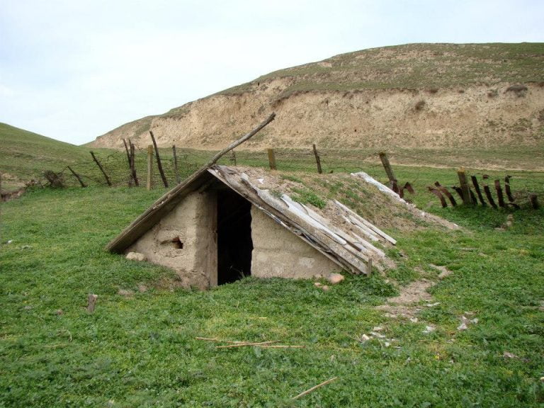 Dobrogea de altădată: Tănase, „sfântul” din Parachioi care a vorbit cu Dumnezeu