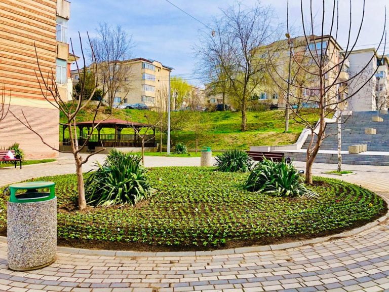 FOTO Lucrări de primăvară în orașul Cernavodă. Cum arată serele unde sunt cultivate florile