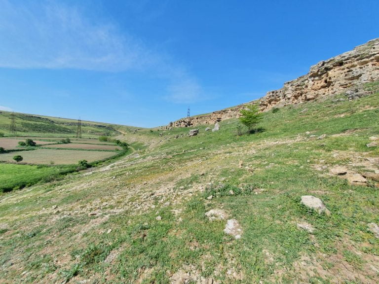 Dobrogea deșertificată. În ultimii 15 ani, nu s-au făcut împăduriri în județul Constanța