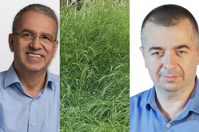 Iarba verde i-a luat prin surprindere pe primarii municipiilor Constanța și Tulcea