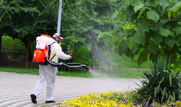 Cernavodă: Campanie de combatere a bolilor și dăunătorilor, prin stropire cu atomizor