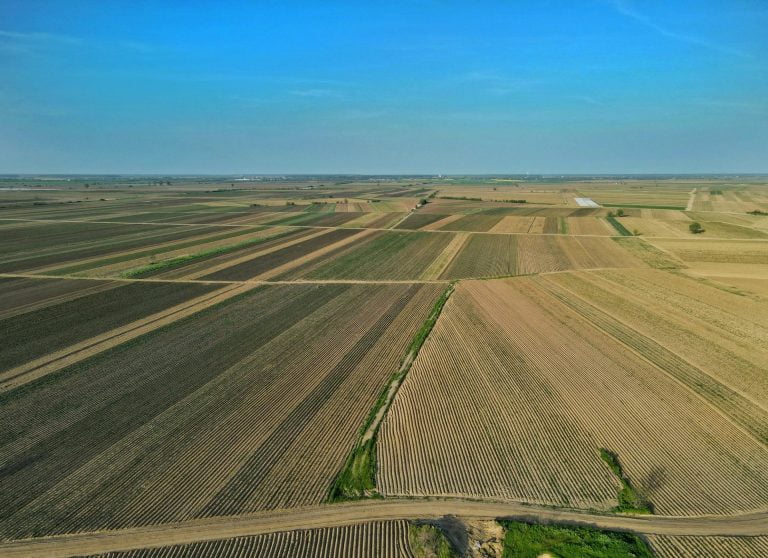 APIA va acorda fermierilor plăți în avans pentru campania 2021. Când se dau banii