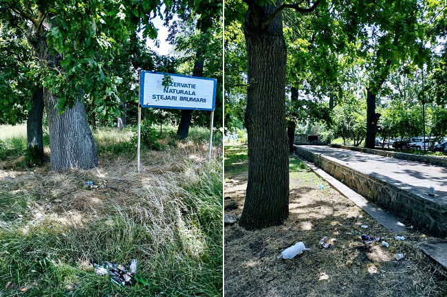Până va fi distrusă de construcții, Rezervația Stejarii Brumării, invadată de gunoaie