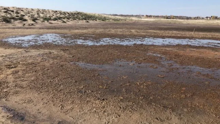 Terenul contaminat în zona plajei Vadu foto: 2019