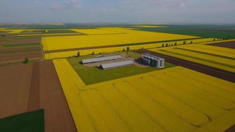 Grupul JD Agro Cocora investește 10 milioane de euro în extinderea unei ferme din județul Constanța