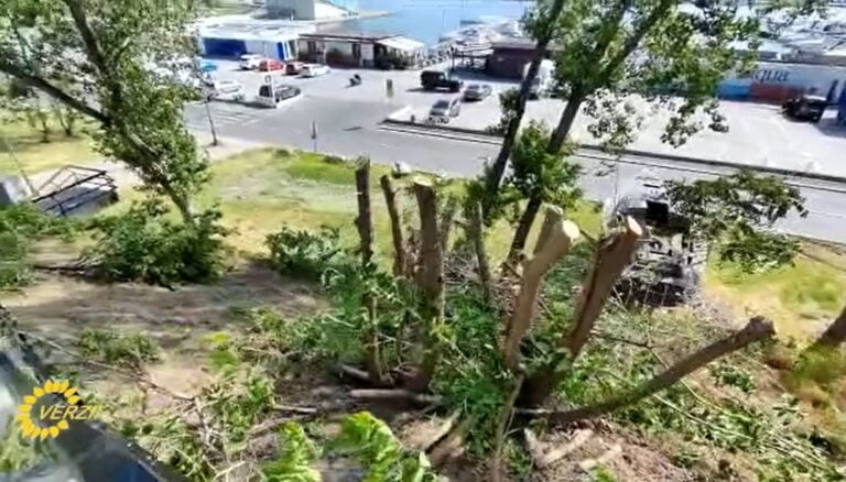 VIDEO: Proprietarul Pizzico, acuzat de Partidul Verde că ar fi dispus tăierea copacilor din dreptul restaurantului pentru o priveliște mai bună