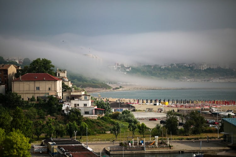 FOTOGALERIE: Pădurea urbană pe care Primăria Constanța vrea s-o dea dezvoltatorilor imobiliari