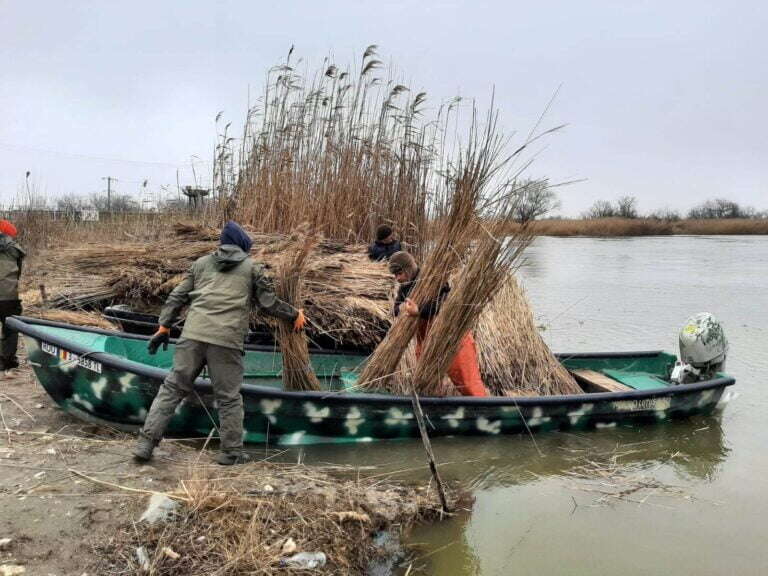 Afacerea „stuful din Delta Dunării”. Cum au încercat firmele în care era asociat fiul lui Paul Stănescu să pună mâna pe 36.000 de ha suprafețe umede. Vor să plece lăsând datorii de un milion
