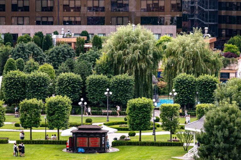 Cum arată grădinile urbane din proiectele mixte dezvoltate de Grupul IULIUS în Iași, Timișoara și Cluj-Napoca