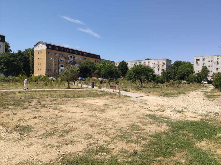 FOTO: Cum arată „prima mini-pădure urbană” din municipiul Constanța, la un an și patru luni de la plantare