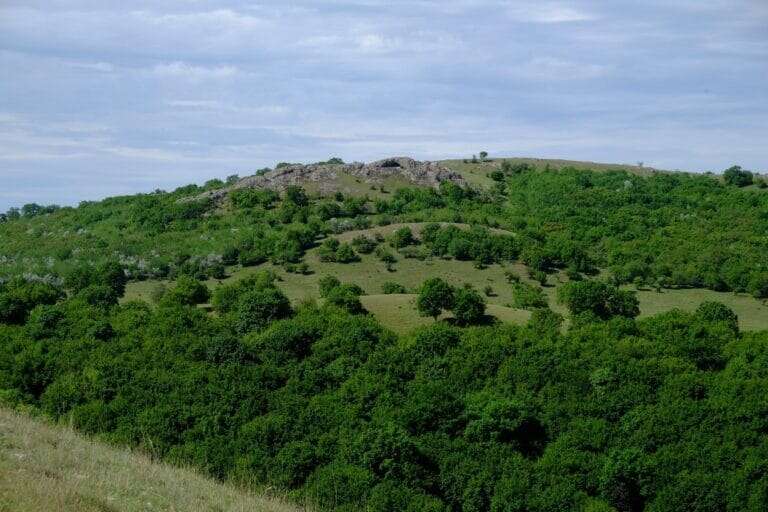 DOCUMENTE Cele 21 de arii naturale protejate din Podişul Nord-Dobrogean care vor beneficia de un plan de conservare a biodiversităţii