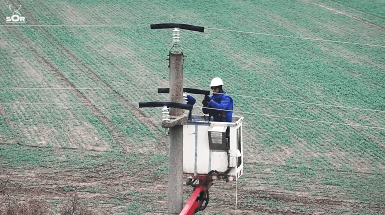 Linii electrice sigure pentru păsările din Dobrogea. 1.000 de teci electroizolante, montate pe rețelele de medie tensiune