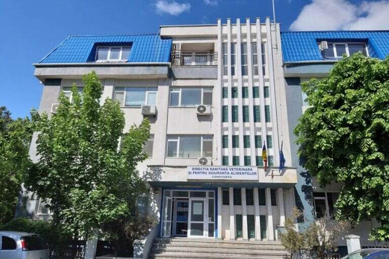 DSVSA Constanța a atribuit două contracte de 1,8 mil lei firmei unui angajat al instituției