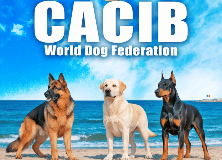 Tuzla, gazda expoziției canine „C.A.C.I.B. Tuzla – WDF Constanța Dog Show”
